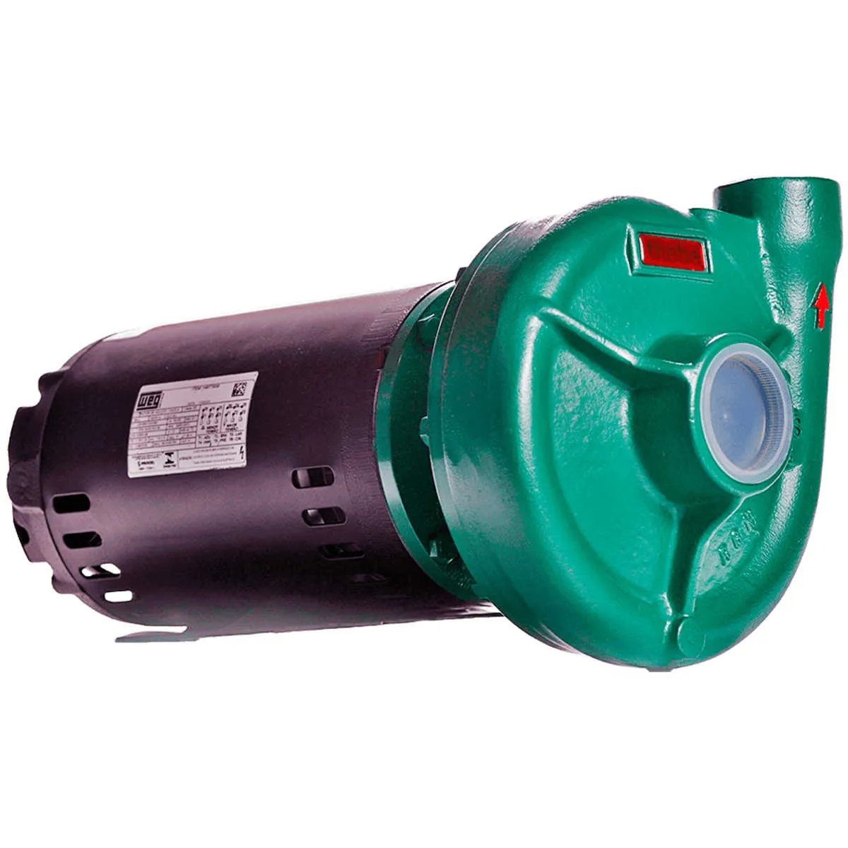 Bomba Centrífuga Monoestágio Thebe Thl-13 2 Cv Trifásica 220v/380v Motor Weg
