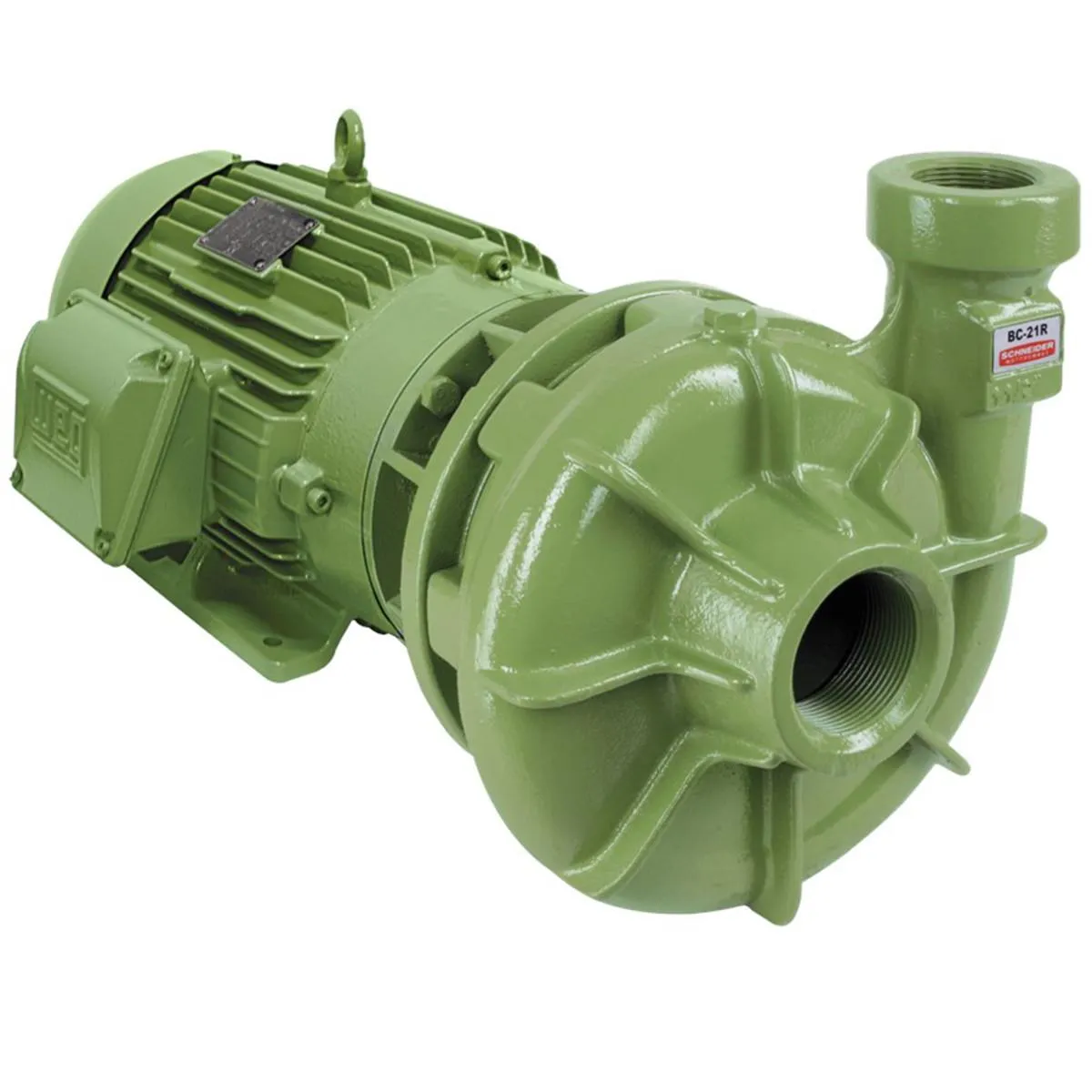 Bomba Centrífuga Monoestágio Schneider BC-21 R2 4 CV Trifásica 220/380/440/760V